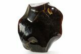 Tall Free-Standing Polished Indonesian Blue Amber #361749-1